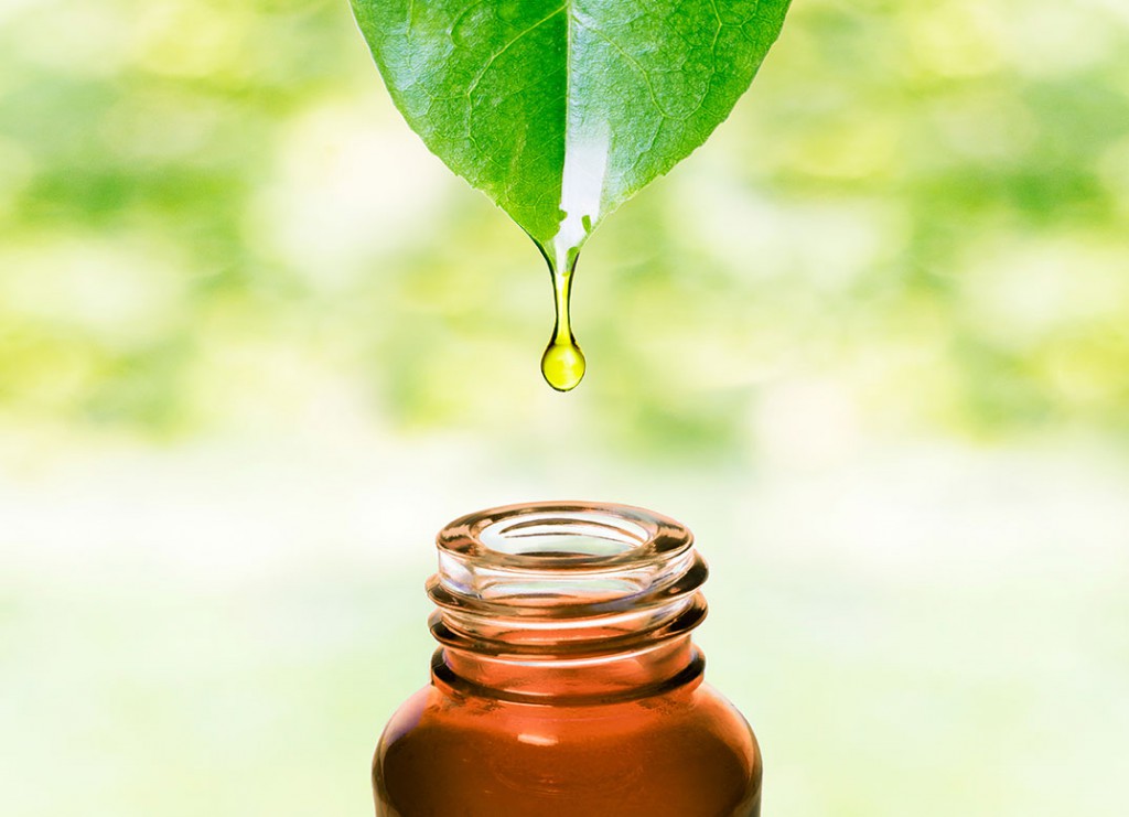 Tea Tree oil hair removal waxing treatments