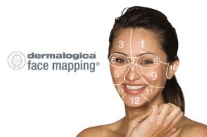 Dermalogica Face Mapping 